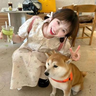 叠影惊潮
